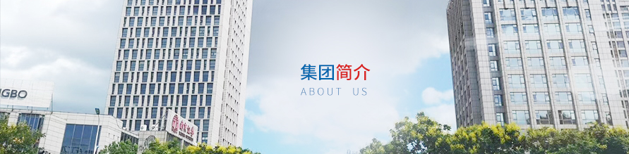 上海铂鳞贸易有限公司—介绍